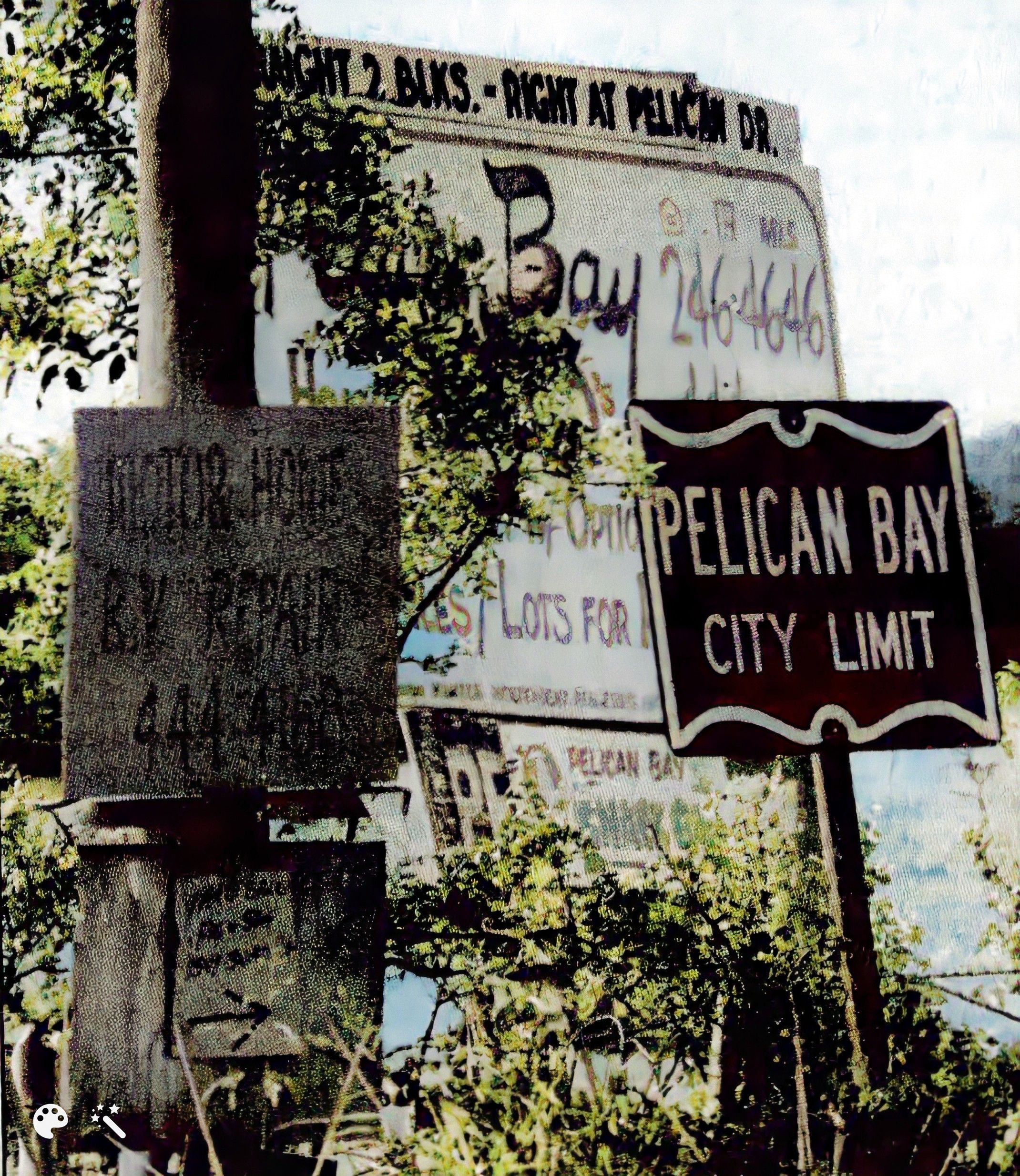 Pelican Bay ClippingEnhancedColorized Pelican Bay Texas Official